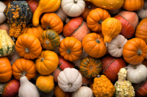 GUIA DE CALABAZAS: TIPOS, USOS Y RECETAS
